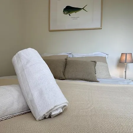 Apartment Les Pins D'eugenie T2 Direct