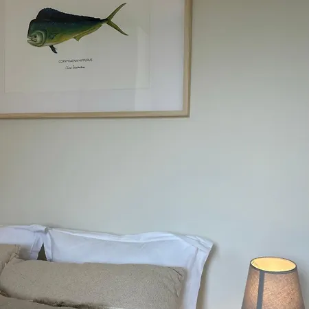 Les Pins D'eugenie T2 Direct Apartment *
