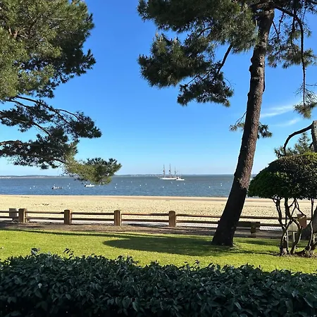 Les Pins D'eugenie T2 Direct Apartment